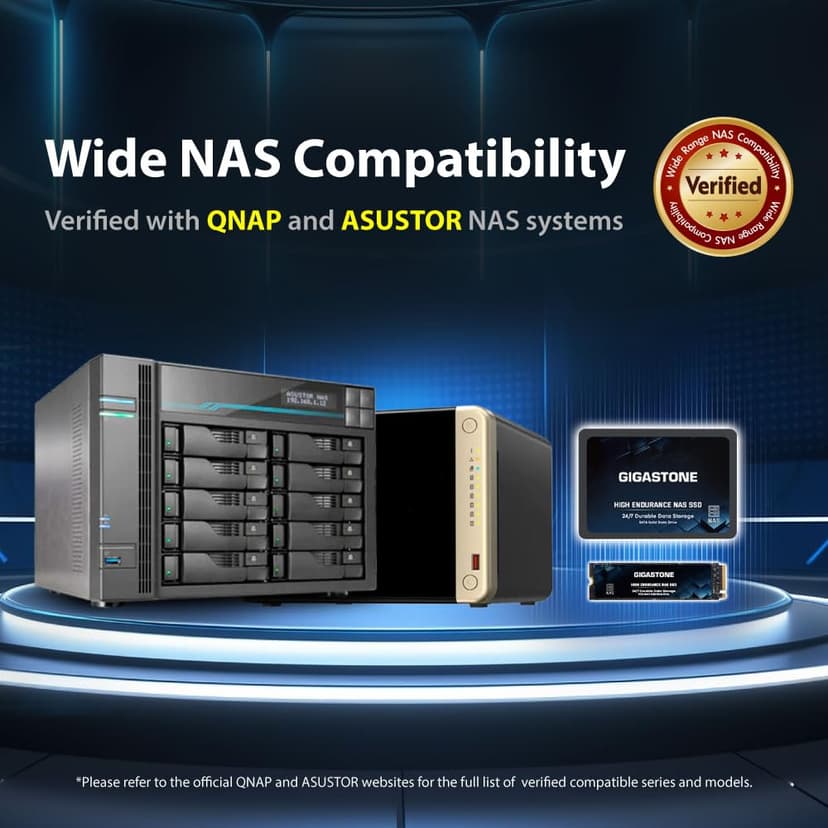Gigastone Certifié NAS 1To NAS SSD Disque (Lot de 2) 24 h/24, 7 j/7 Durable TLC Endurance élevée Raid Synchro sécurisée des données Cache de Stockage en réseau 2,5 Pouces SATA Disque Dur ssd Interne - 3