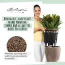 Lechuza Self Watering Plant Pot CLASSICO 43 LS Garden Flower Indoor and Outdoor Plastic Planter with Drainage Hole D43 H40 cm Red High-Gloss - 4