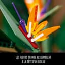 Lego 10289 Creator Expert L'oiseau de Paradis Jeu de Construction pour Adultes, Plantes Artificielles Fleurs Déco, Idée Cadeau - 7