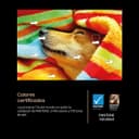 Samsung TV 65 Pouces OLED S85F 4K Smart TV avec Vision AI, Couleurs certifiées par Pantone TV Plus - 4