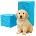 Pack of 100 Training Pads for Dogs 45 x 60 cm Dog Toilet Incontinence Bed Pad 6-Layer Design Dog Accessories Quick Drying Puppies Elderly Dogs Absorbent Changing Mat - 1