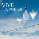 Grey Goose Vodka 40% Vol. 1,5l - 3