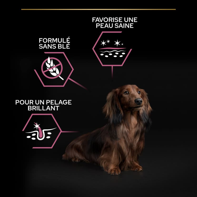 PURINA PRO PLAN | Sensitive Skin | Croquettes complètes pour chien de petite taille | Favorise une peau saine et un pelage brillant | Au Saumon | Croquettes | Sac 3 Kg - 3