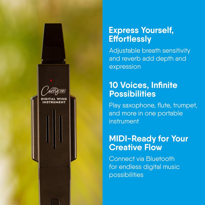 Carry-on Digital Wind Instrument - 10 Instrument Voices, Built-In Speaker, USB Rechargeable Battery, Headphones Output, Midi Over Bluetooth, Digital Recorder - Black - 6