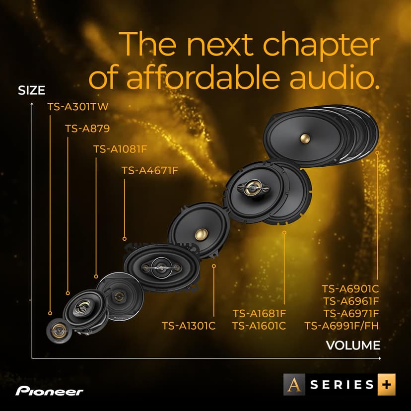 PIONEER TS-A1601C - 6