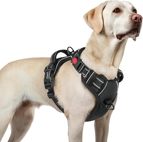 rabbitgoo Dog Harness Large Dog with Neck Release Buckle, No Pull Harness with Front Back Clips, Adjustable Soft Padded with Easy Control Handle, Reflective No-choke Pet Walking Vest, Black, L