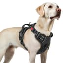 rabbitgoo Dog Harness Large Dog with Neck Release Buckle, No Pull Harness with Front Back Clips, Adjustable Soft Padded with Easy Control Handle, Reflective No-choke Pet Walking Vest, Black, L - 1
