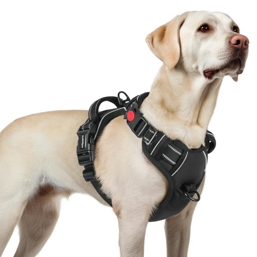 rabbitgoo Dog Harness Large Dog with Neck Release Buckle, No Pull Harness with Front Back Clips, Adjustable Soft Padded with Easy Control Handle, Reflective No-choke Pet Walking Vest, Black, L - 1