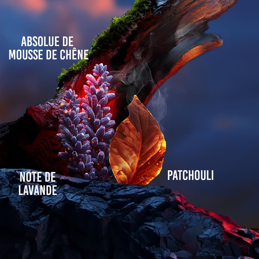 Drakkar Noir de Guy Laroche - Eau de Toilette Sensuel & Intrépide - Boisé et Aromatique, Notes de Mousse de Chêne, Patchouli et Sapin Baumier - Parfum pour Homme - 3