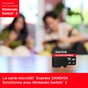 SanDisk microSD Express Card 256GB - Works with Nintendo Switch™ 2 (Up to 880MB/s Read, Up to 650MB/s Write, 210MB/s Sustained Write, SanDisk QuickFlow Technology, ThermAdapt, UHS-I, U3, C10) - 2