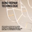 Schwarzkopf Professional BLONDME Bond Repair Brightening Shampoo Shampooing Anti Pollution Thé Blanc Hydratant Renforçant Et Profondément Nourrissant 300 ml - 7