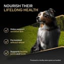 Purina PRO PLAN | Chien Adulte de Taille Moyenne | Peau Sensible | Aliment Sec pour Peaux Sensibles | Formulé Sans Blé | Favorise un Pelage Sain et Brillant | Riche en Saumon | Sac | 14 Kg - 2