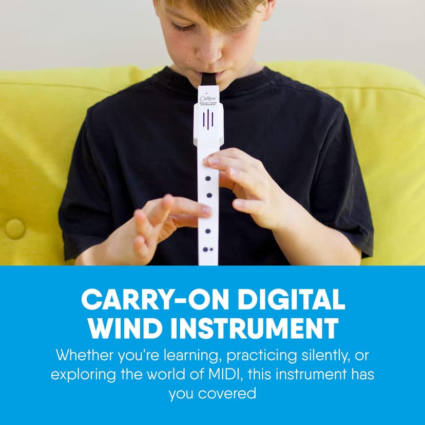 Carry-on Digital Wind Instrument - 10 Instrument Voices, Built-In Speaker, USB Rechargeable Battery, Headphones Output, Midi Over Bluetooth, Digital Recorder - Black - 2