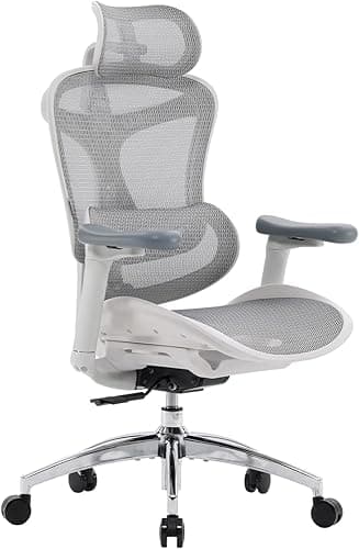 SIHOO Doro C300 Chaise de Bureau Ergonomique avec Accoudoirs Ultra Doux en 3D, Soutien Lombaire Dynamique pour Chaise Bureau à Domicile, Fauteuil de Bureau avec Dossier réglable(Grigio)