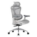 SIHOO Doro C300 Chaise de Bureau Ergonomique avec Accoudoirs Ultra Doux en 3D, Soutien Lombaire Dynamique pour Chaise Bureau à Domicile, Fauteuil de Bureau avec Dossier réglable(Grigio) - 1