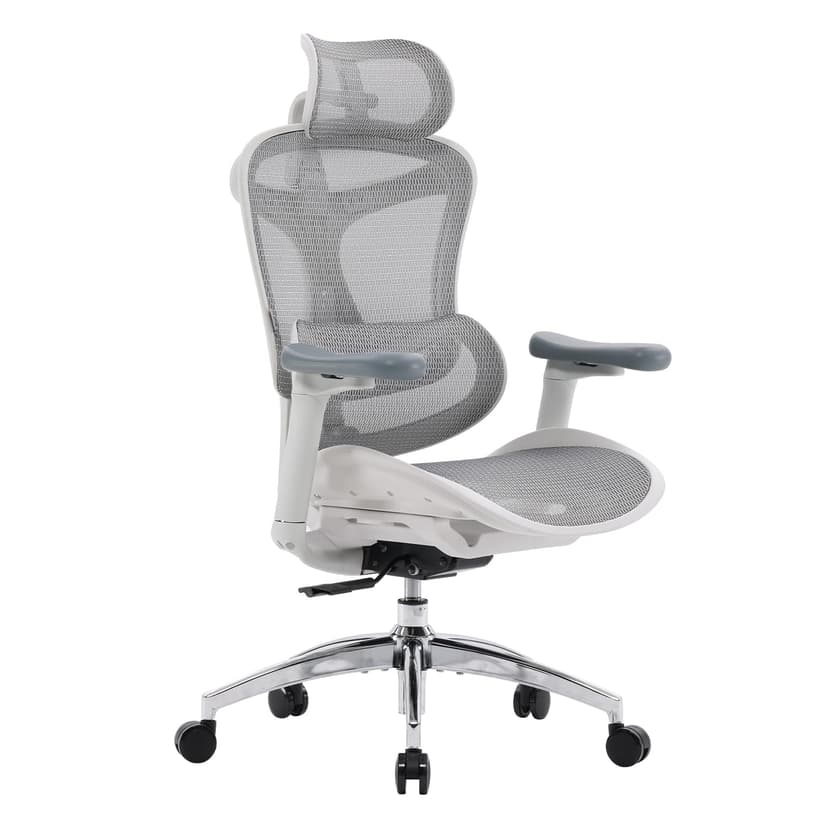 SIHOO Doro C300 Chaise de Bureau Ergonomique avec Accoudoirs Ultra Doux en 3D, Soutien Lombaire Dynamique pour Chaise Bureau à Domicile, Fauteuil de Bureau avec Dossier réglable(Grigio) - 1