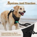 rabbitgoo Dog Harness Large Dog No Pull Pet Harness with 2 Leash Clips, Adjustable Soft Padded Pet Vest, Reflective No-Choke with Easy Control Handle for Training or Walking, Black, L - 5