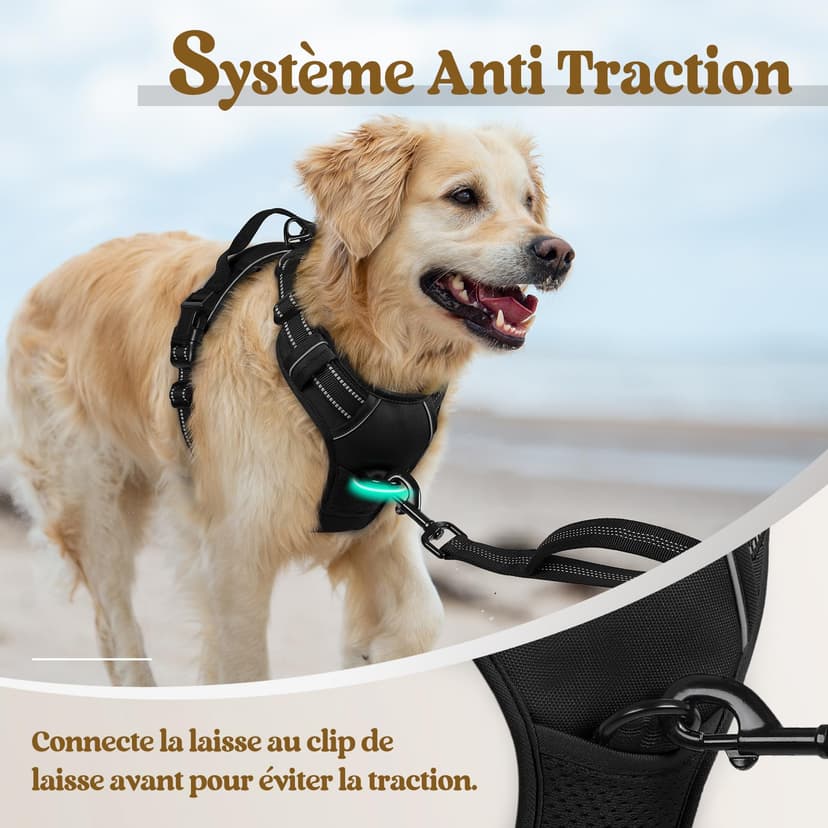 rabbitgoo Dog Harness Large Dog No Pull Pet Harness with 2 Leash Clips, Adjustable Soft Padded Pet Vest, Reflective No-Choke with Easy Control Handle for Training or Walking, Black, L - 5