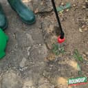 ROUNDUP Désherbant Concentré Cours, Allées & Terrasses – Format Économique 800ml – Action 2-en-1 Mauvaises Herbes & Mousses – Effets dès 1h - 6