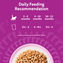 whiskas Junior Poultry Selection in Jelly 84 Pouches, Wet Kitten and Cat Food, Selection of Chicken, Duck, Poultry and Turkey, Megapack (84 x 85 g) - 4