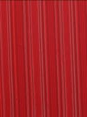 ETHNICMODE Indian Soft Satin Light Weight Party Wear Red Sari With Unstitched Red Blouse Piece-1110 - 8
