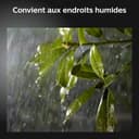 Philips Hue White & Color Ambiance Projecteur Extérieur DISCOVER, Éclairage extérieur en Aluminium Noir, Projecteur lumière compatible avec Alexa, Google Assistant et Apple Homekit - 9