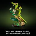 LEGO 21342 The Insect Collection - New. - 3