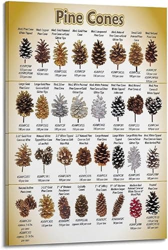HNPBB Nature Vintage Poster Pine Cones Identification Poster Decorative Painting Canvas Wall Posters And Art Picture Print Modern Family Bedroom Decor Posters 16x24inch(40x60cm)