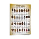 HNPBB Nature Vintage Poster Pine Cones Identification Poster Decorative Painting Canvas Wall Posters And Art Picture Print Modern Family Bedroom Decor Posters 16x24inch(40x60cm) - 1