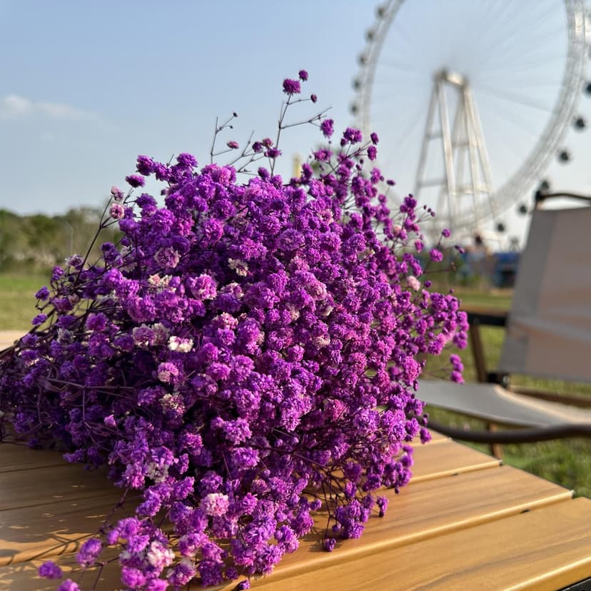 Gipizi Dried Baby's Breath Flowers Purple, 17inch Dried Natural Flowers Babys Breath Bulk with 3000 Buds, Real Dry Gypsophila for Wedding, Party, Wreath Floral DIY, Home Decor - 5