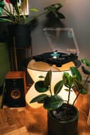 Audio-Technica LP60XBTBK Platine Vinyle Sans Fil à Entraînement par Courroie Automatique Noir - 4