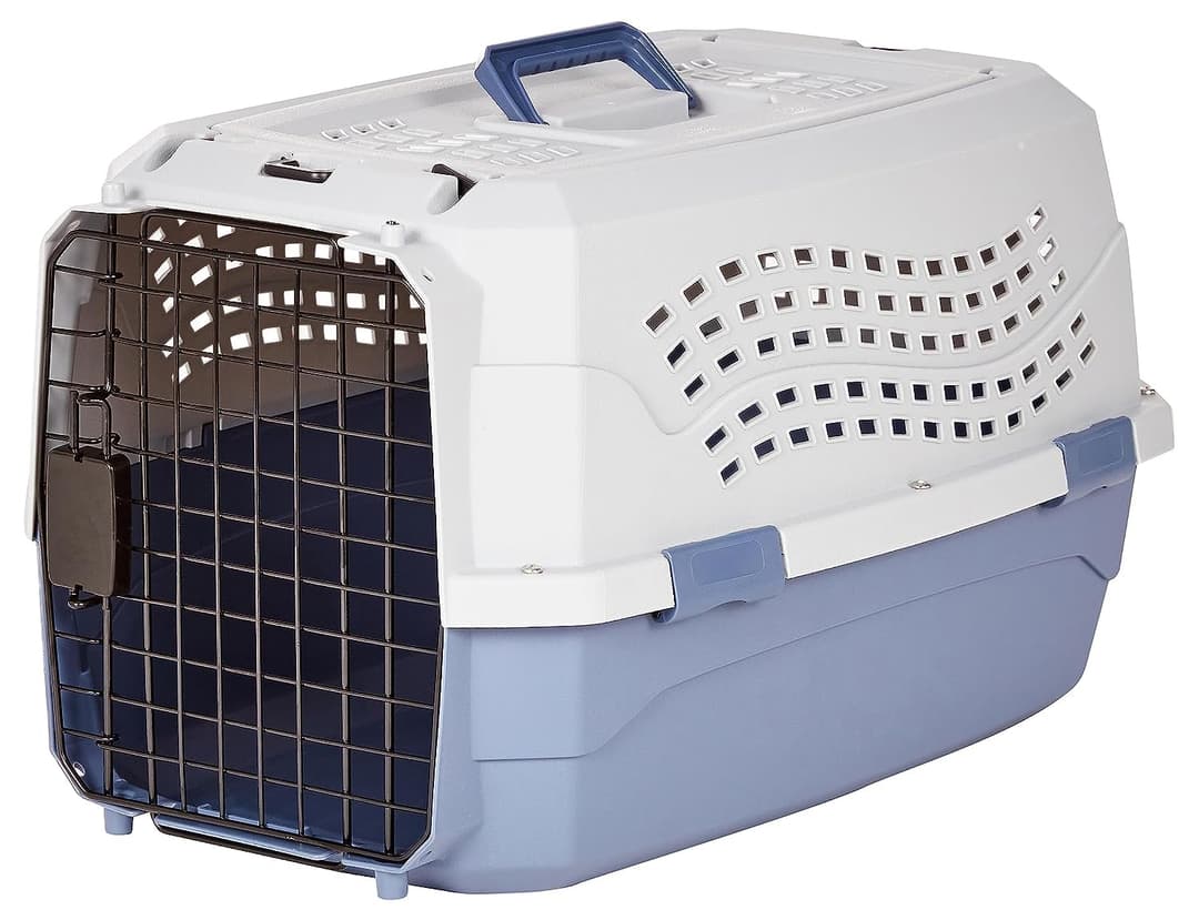 Amazon Basics Hard-Sided Cat Carrier, Two-Door Top-Load Pet Dog/Cat Travel Box Carrier, Blue, 58 L x 38 W x 33 H cm