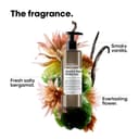 L'Oréal Professionnel SE Absolut Repair Molecular Professional Rinse-off Serum - 4