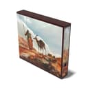 Ultimate Guard Album´n´CaseArtist Edition 002 Mr: The Search - 1