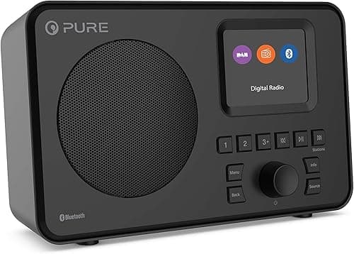 Pure Elan One Radio Dab+ Portable avec Bluetooth 5.0 (Radio Dab et FM, écran TFT, 20 Stations mémorisées, 3 Touches de présélection, Prise AUX 3,5 mm, Fonctionnement sur Piles Possible, USB), Noir