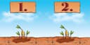 Amigo 01661 Bohnanza Game for 10 Jahre to 99 Jahre - 9