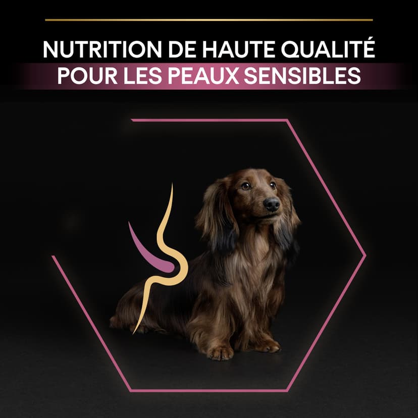 PURINA PRO PLAN | Sensitive Skin | Croquettes complètes pour chien de petite taille | Favorise une peau saine et un pelage brillant | Au Saumon | Croquettes | Sac 3 Kg - 6