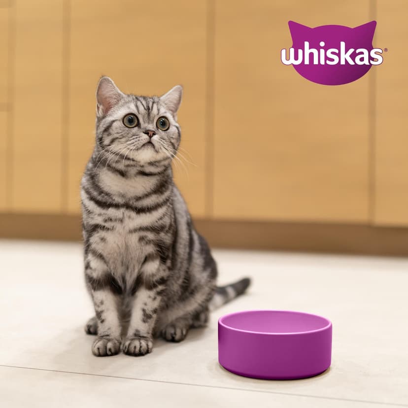 Whiskas Senior Cat Food Dry Food for Older Cats From 7 Years (6 x 1,9 kg) - 7