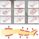 Masseur à compression d'air pour jambes pressothérapie, machine de pressothérapie pour la maison avec 6 cavités, bottes de pressothérapie jambes entières et ventre professionnel pour la circulation - 6