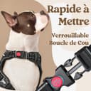 rabbitgoo Dog Harness Large Dog with Neck Release Buckle, No Pull Harness with Front Back Clips, Adjustable Soft Padded with Easy Control Handle, Reflective No-choke Pet Walking Vest, Black, L - 3