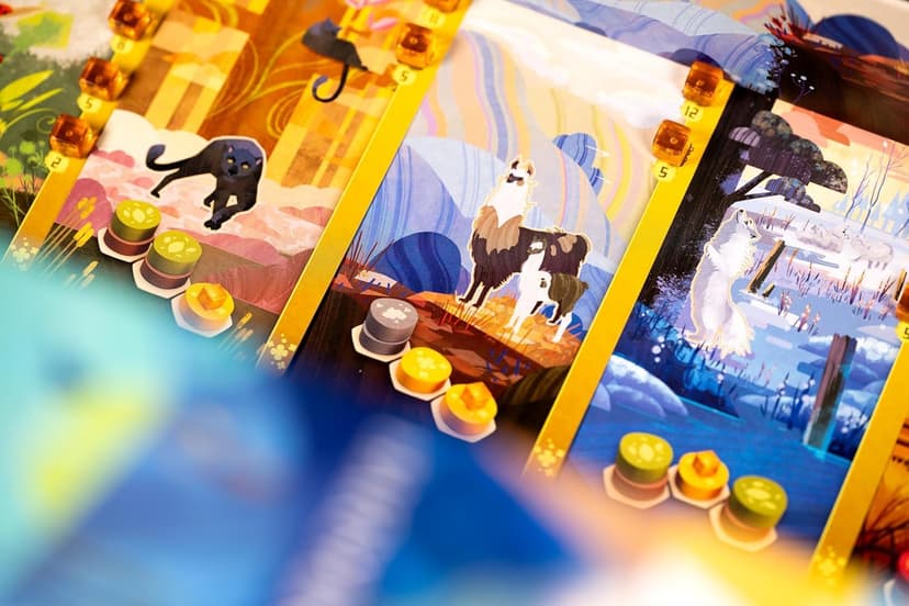 Libellud - Asmodee - Harmonies - Board Games - Family and Friends Games - Creation of Landscapes and Habitats for Animals - Strategy and Creativity - For Ages 10 and Above - French Version - 4