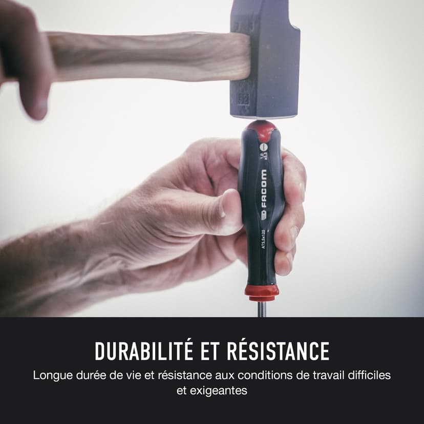 FACOM PROTWIST Jeu de tournevis 10 pièces, ATW.J10PB - 5