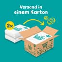 Pampers Baby-Dry Pants Size 5, Pack of 160, 11kg-17kg, 360° Leak-Proof Fit for Day and Night - 2