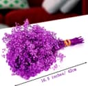 Gipizi Dried Baby's Breath Flowers Purple, 17inch Dried Natural Flowers Babys Breath Bulk with 3000 Buds, Real Dry Gypsophila for Wedding, Party, Wreath Floral DIY, Home Decor - 2