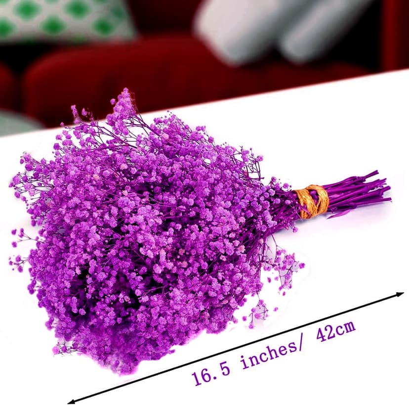 Gipizi Dried Baby's Breath Flowers Purple, 17inch Dried Natural Flowers Babys Breath Bulk with 3000 Buds, Real Dry Gypsophila for Wedding, Party, Wreath Floral DIY, Home Decor - 2