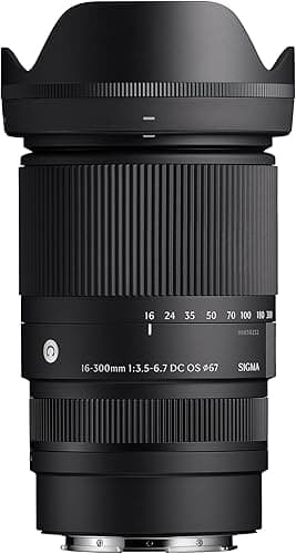 Sigma Objectif 16-300 mm F3.5-6.7 DC OS pour Sony E Mount…