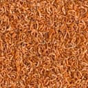 TETRA GAMMARUS 1lt. 10261 - 3