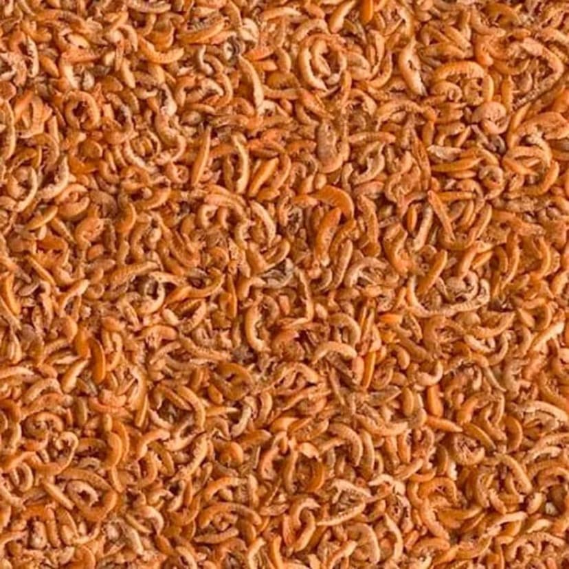 TETRA GAMMARUS 1lt. 10261 - 3