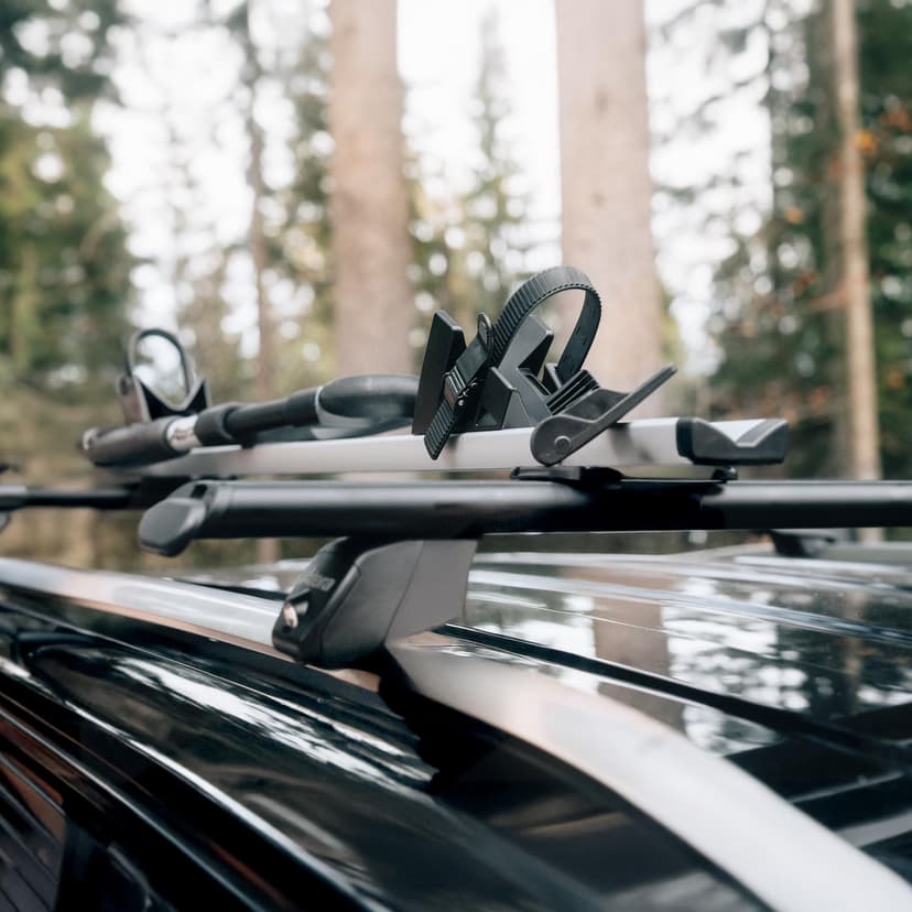 Atera 08227 Car bike carrier Giro AF+, silver - Car roof rack - for 1 bike up to 17 kg payload - 5