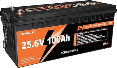 24V 100Ah LiFePO4 Lithium Battery Built-in 100A BMS 2560W…